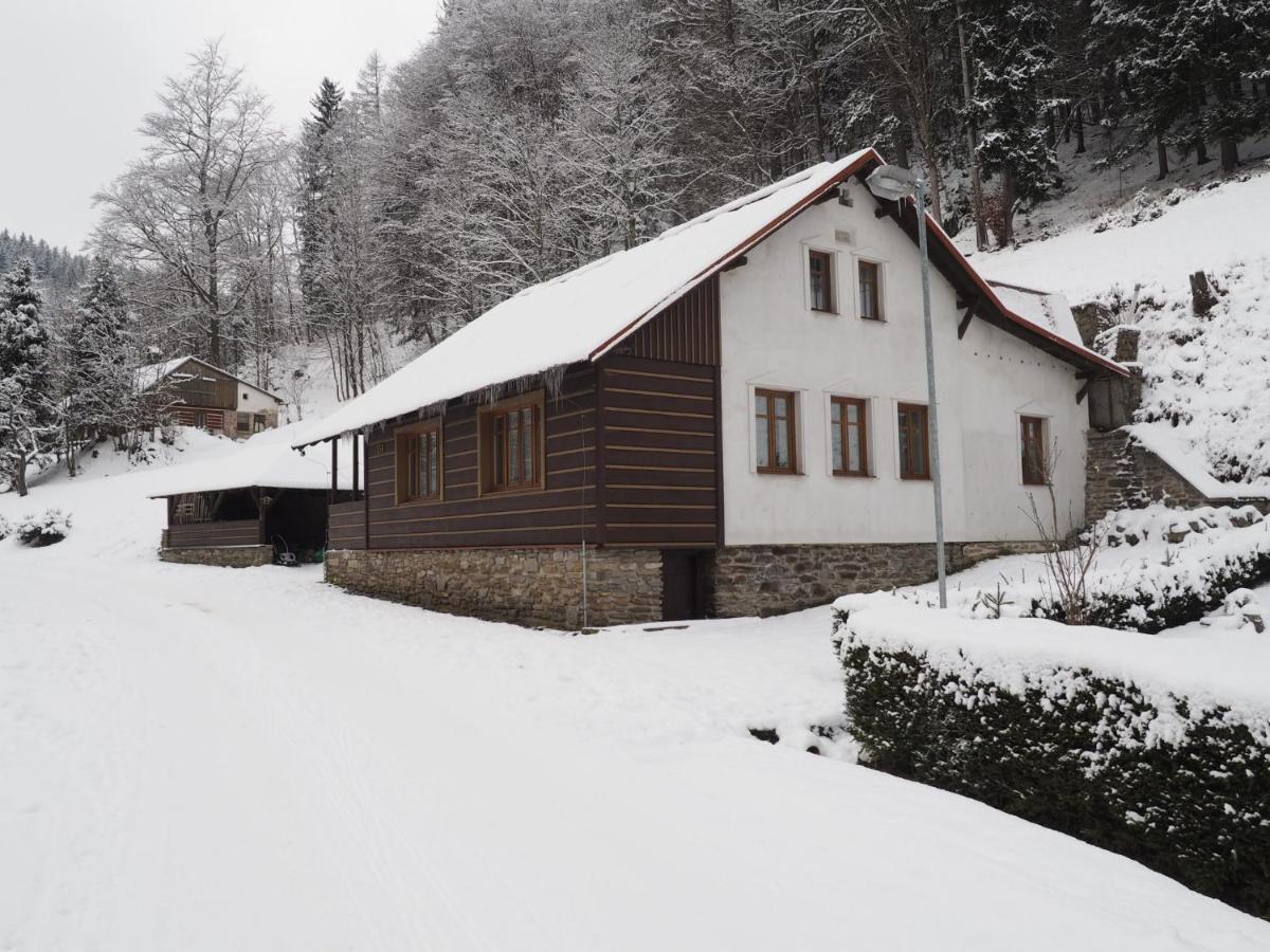 Chalupa Tomasek V Blizkosti Ski Arealu Dolni Dvur Exterior foto